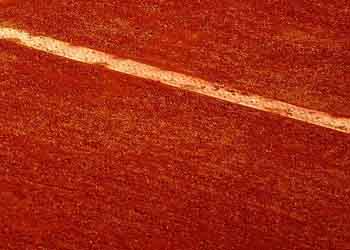 Evolution du Prize Money de Roland Garros entre 2012 et 2022